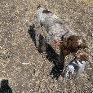 Meet your Posher, Tammy nail